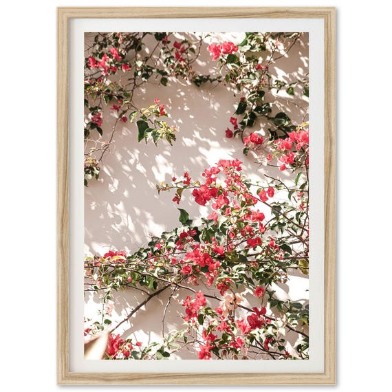 Bougainvillea Flowers Coastal Boho Art Print