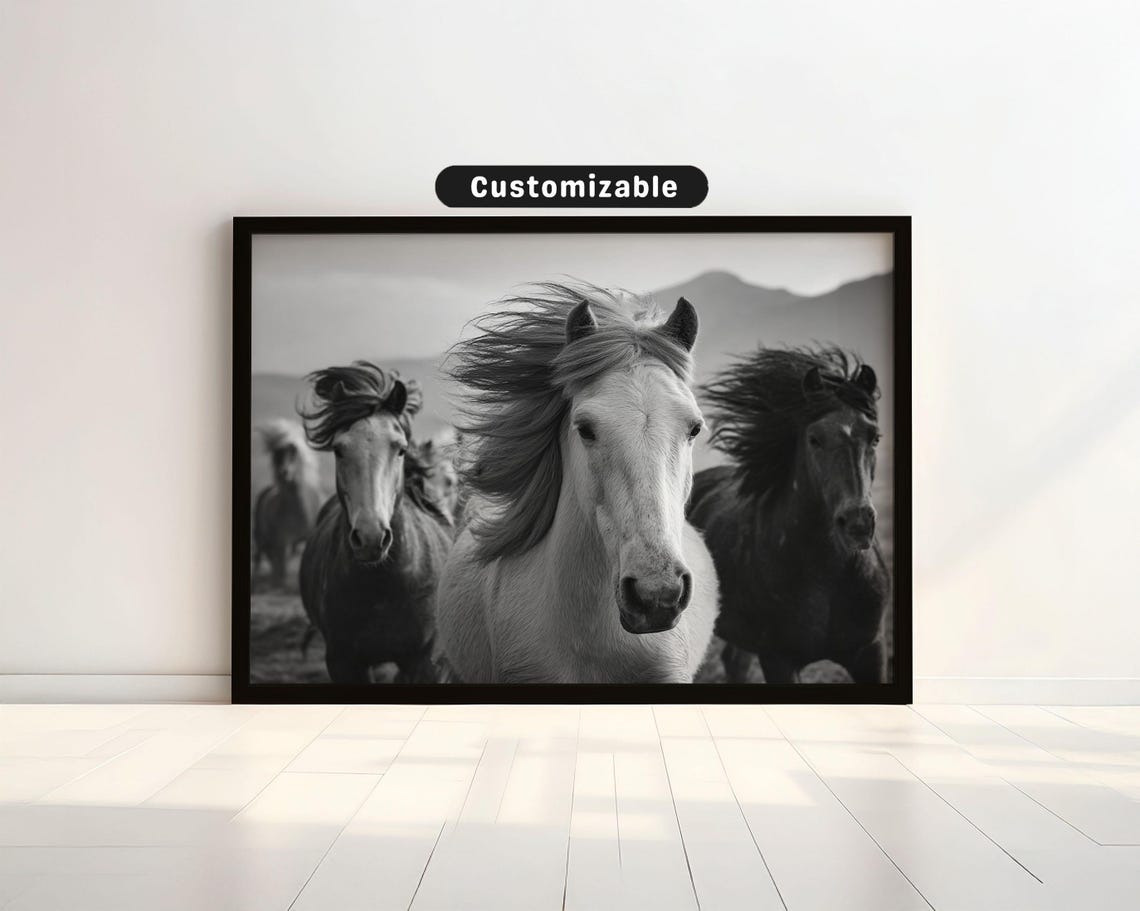 Black and White Horses Poster Flowing Manes Wild Herd Photo Decor