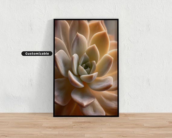 Succulent Closeup In Creamy Natural Lighting Minimal Botanical Wall Art Neutral Nature Print