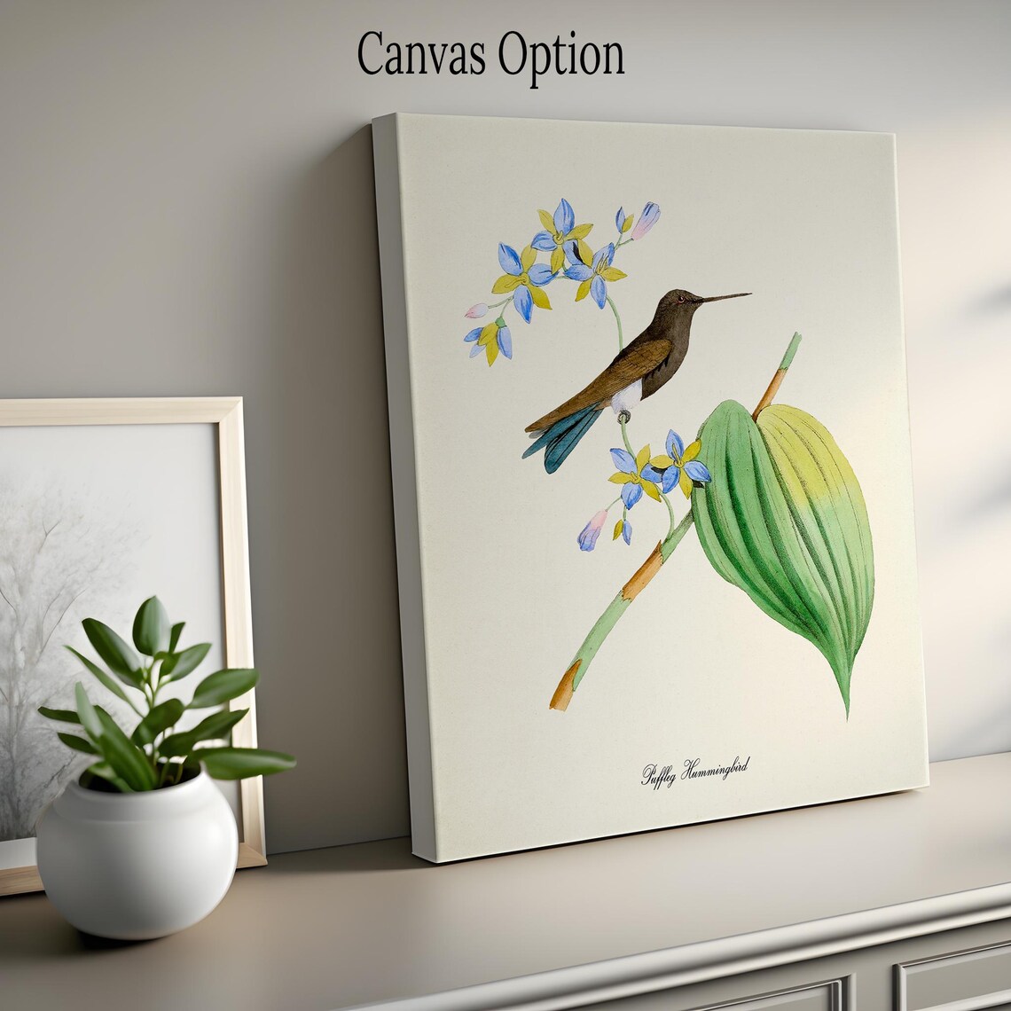 Puffleg Hummingbird Blue Yellow Blossoms Vintage Nature Poster - Image 2
