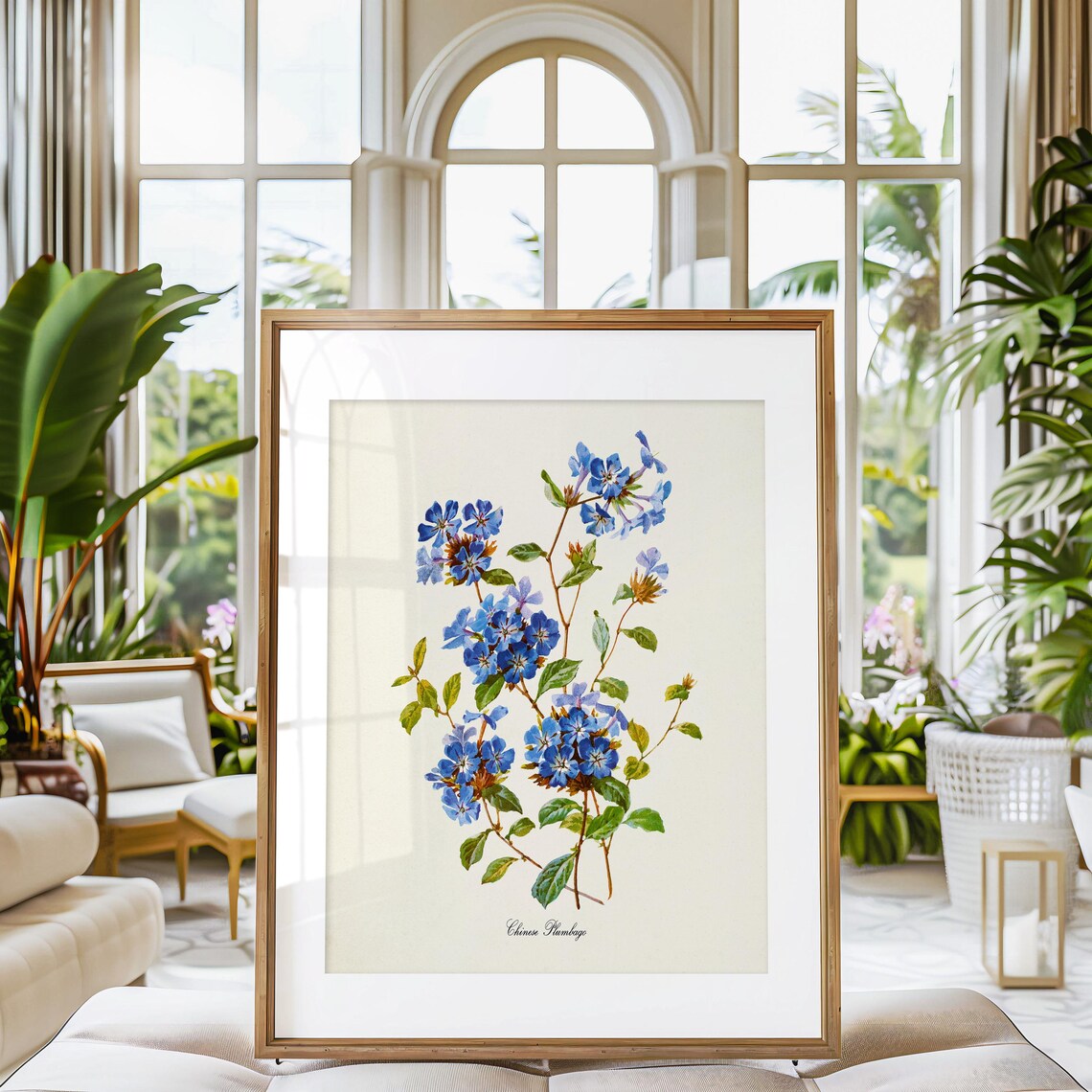 Chinese Plumbago Flower Botanical Wall Art Print - Image 3