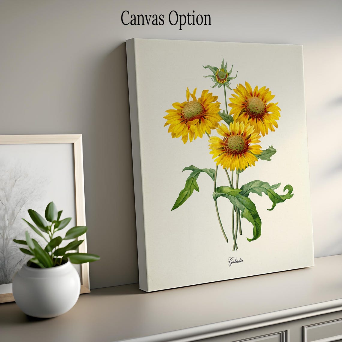 Gaillardia Blanket Flower Vintage Botanical Illustration Wall Poster - Image 2