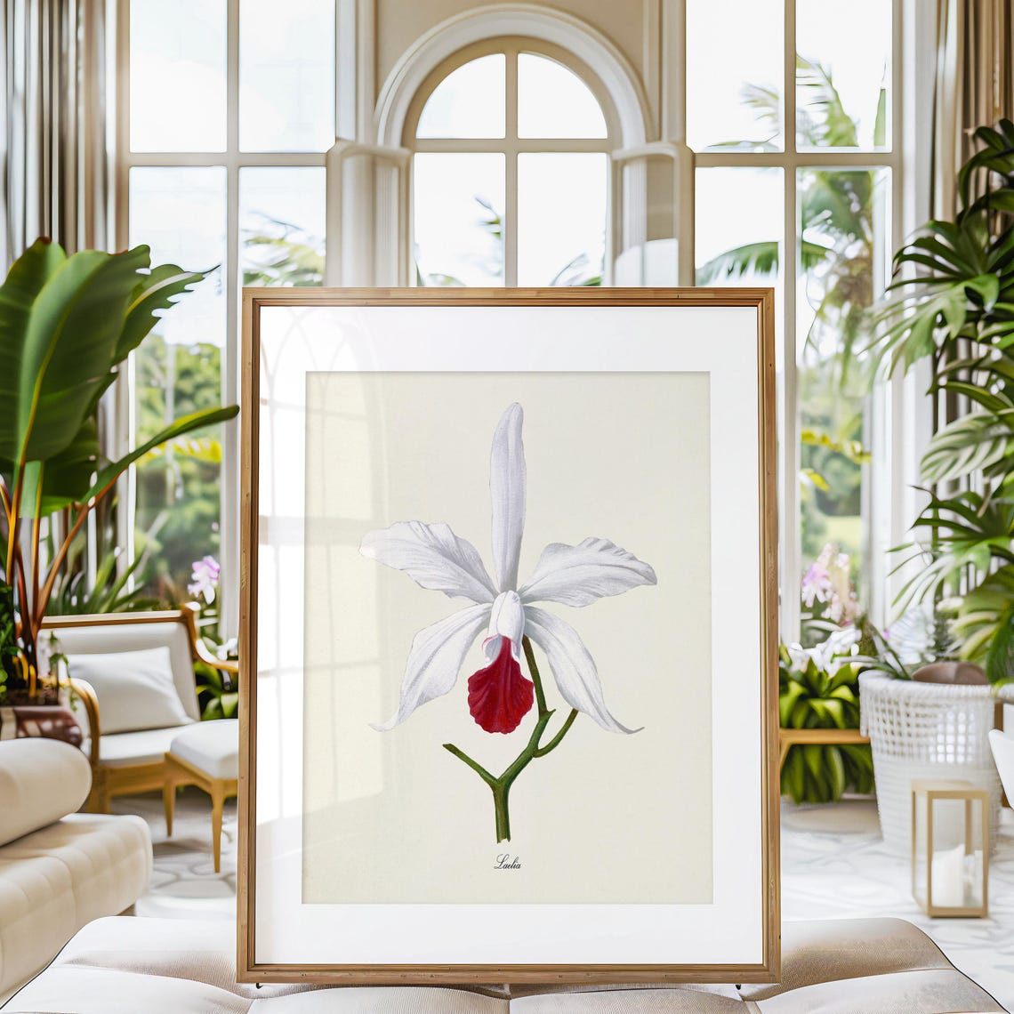 White Laelia Orchid Crimson Center Elegant Vintage Flower Poster - Image 3