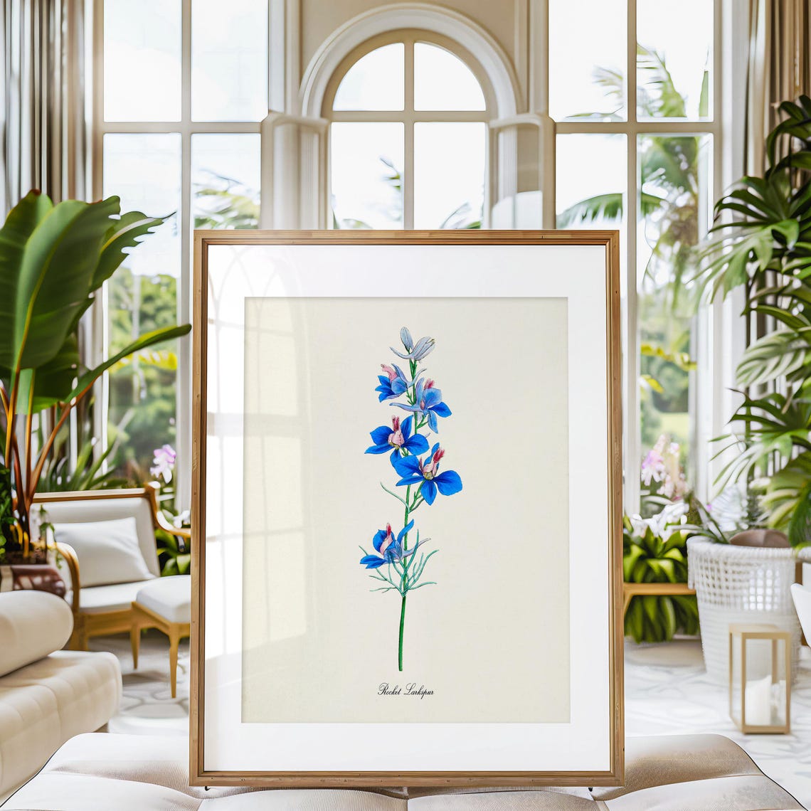 Rocket Larkspur Blue Botanical Print in Vintage Illustration Style - Image 3