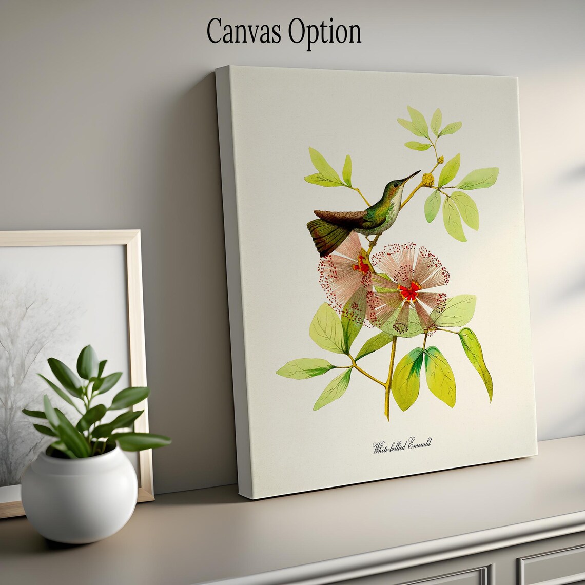 White Bellied Emerald Hummingbird Garden Art Print - Image 2