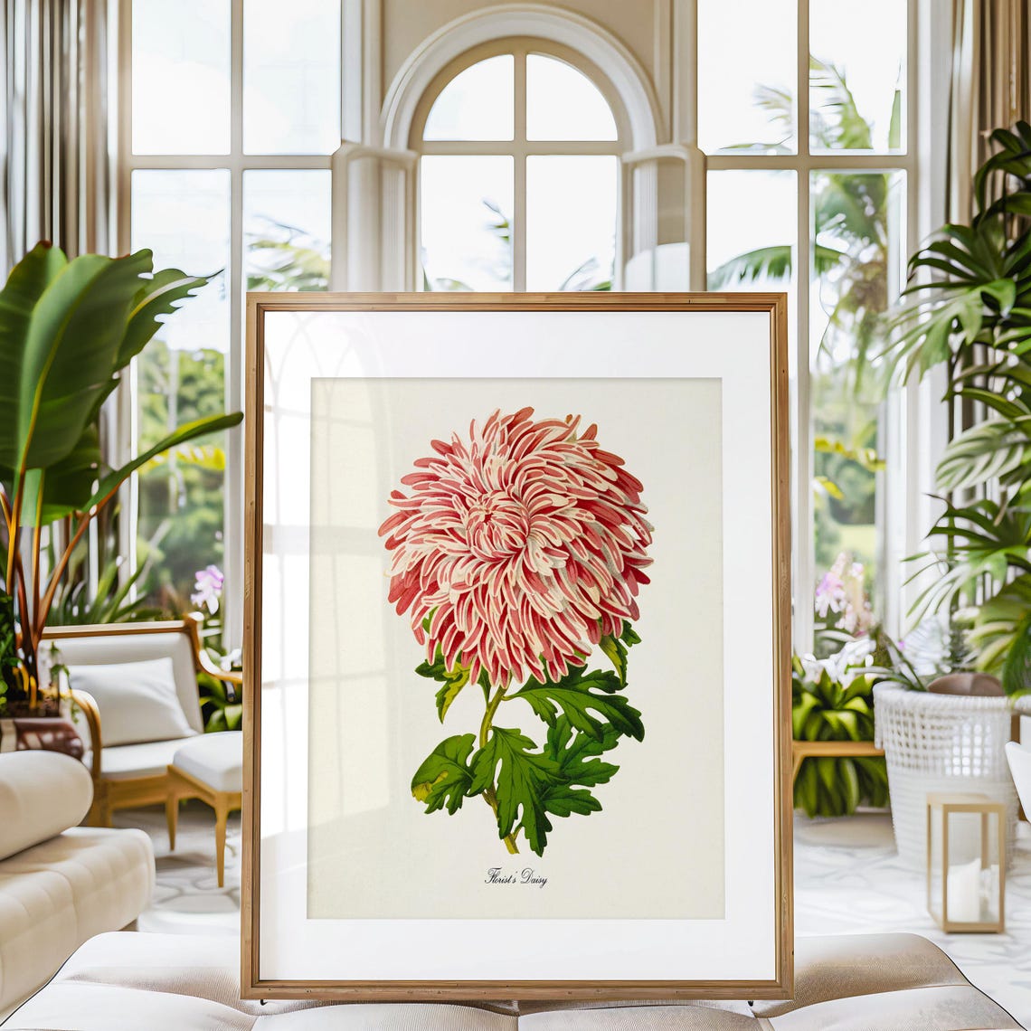 Pink Florists Daisy Chrysanthemum Bloom Vintage Botanical Poster - Image 3