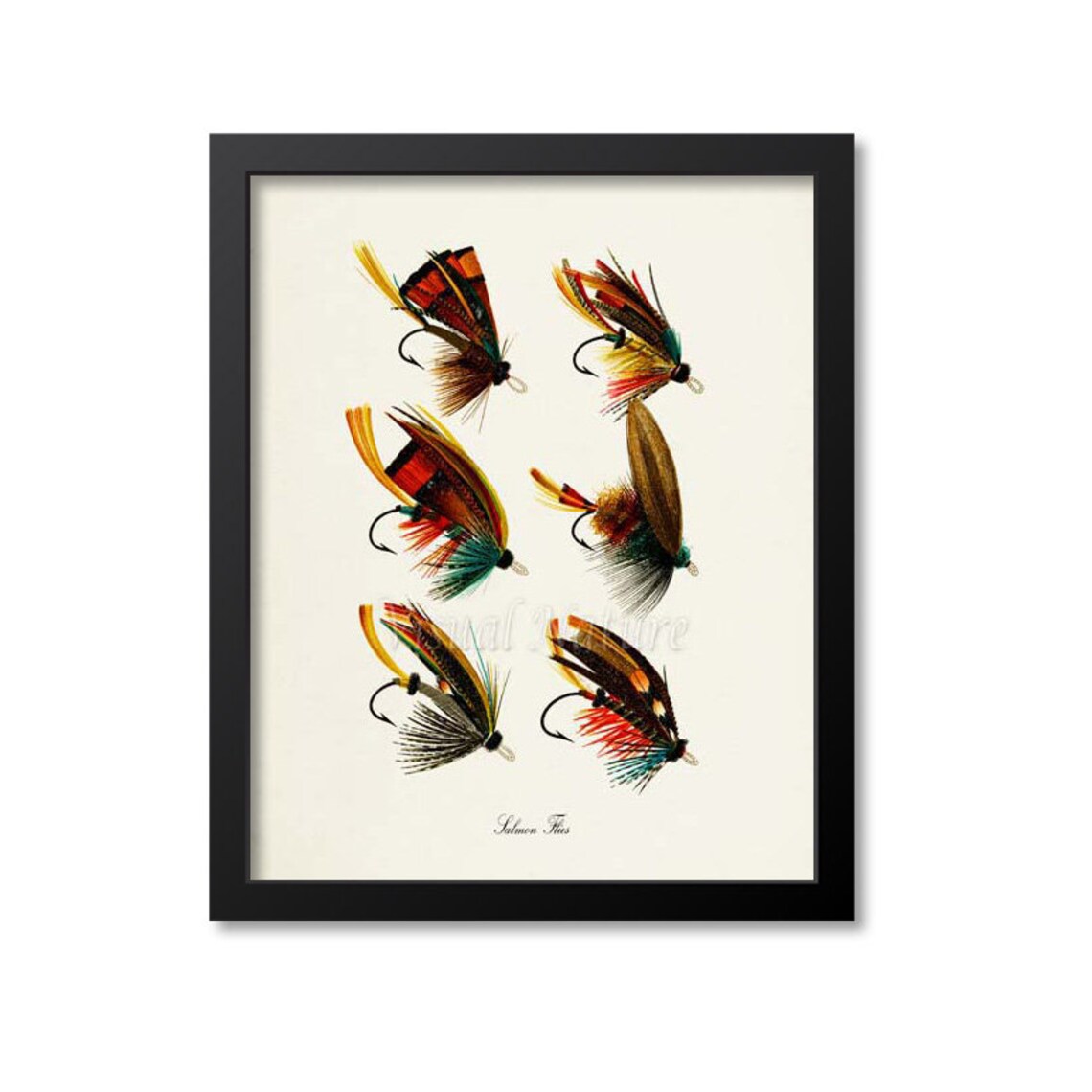 Salmon Flies Art Print, Fly Fishing Decor