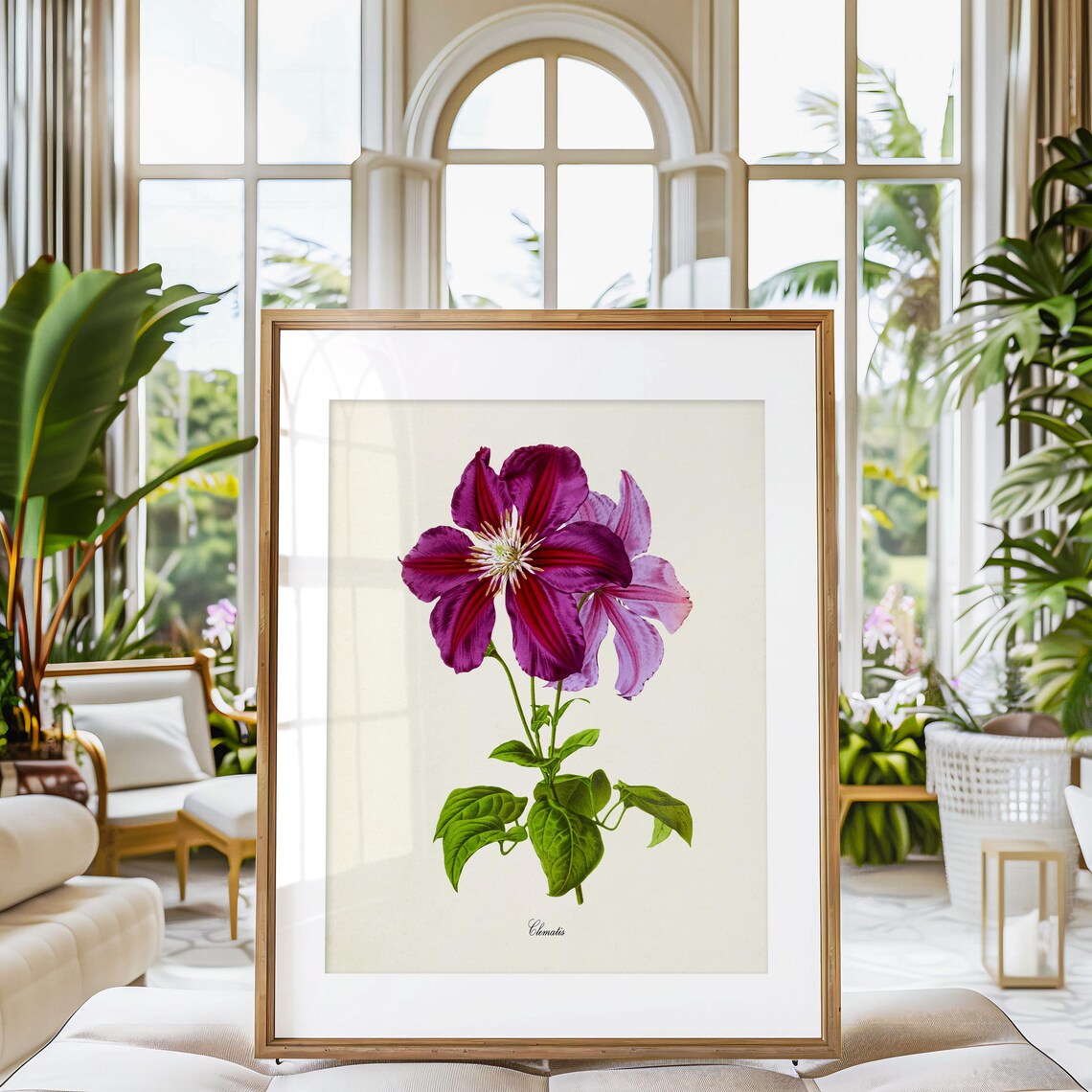 Clematis Flower Botanical Art Print, Purple Magenta - Image 3