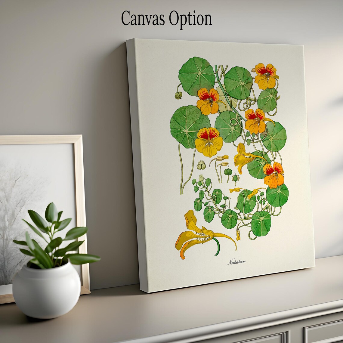 Nasturtium Botanical Wall Art Print, Tropaeolum - Image 2