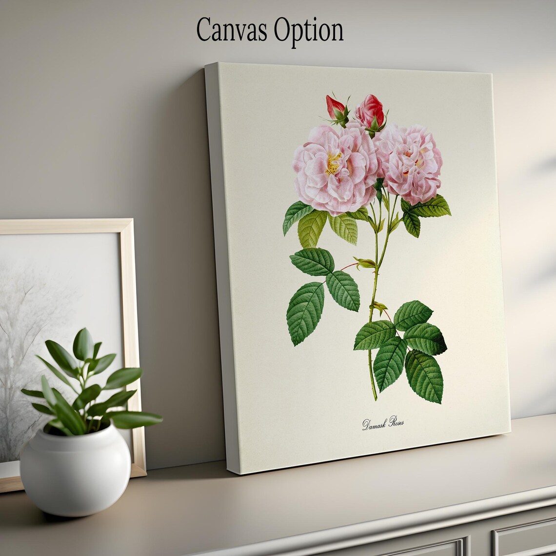 Damask Roses Pink Botanical Print in Vintage Illustration Style - Image 2