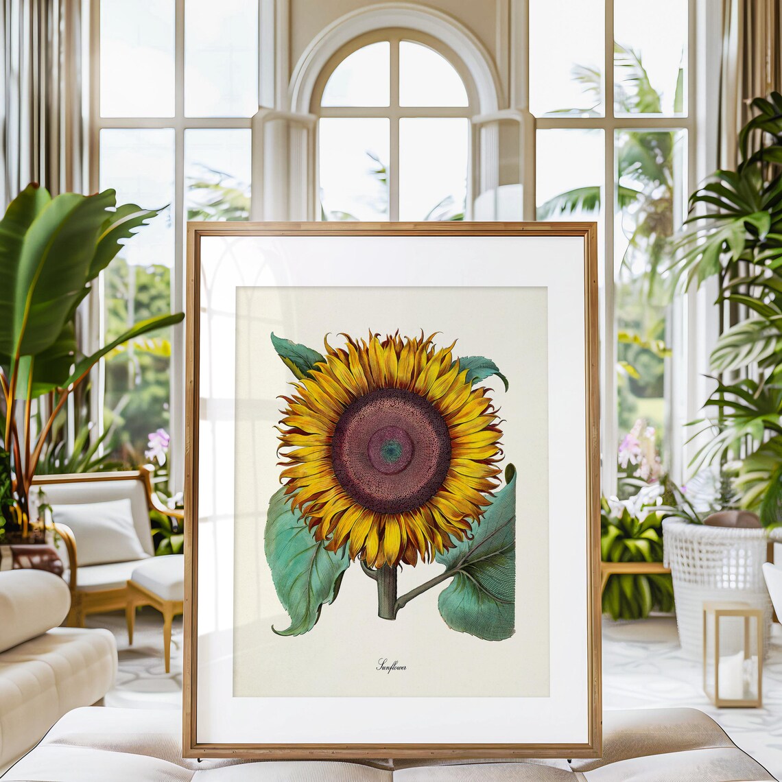 Sunflower Botanical Art Print, Floral Wall Art - Image 3