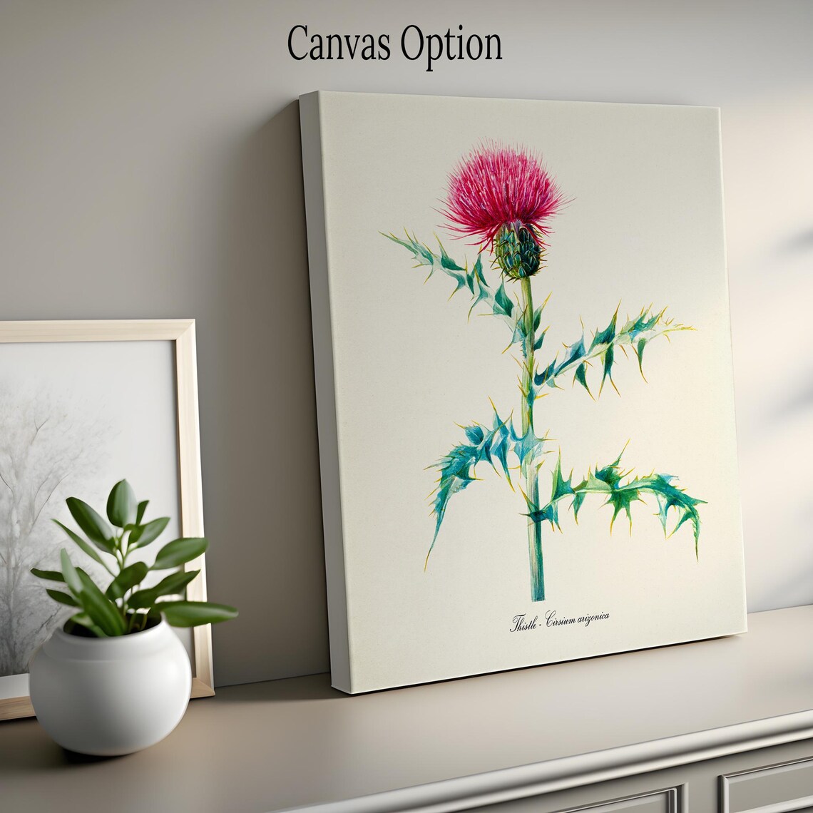Thistle Flower Botanical Art Print, Cirsium Arizonica - Image 2