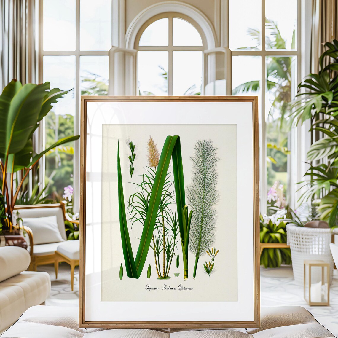 Sugarcane Botanical Art Print, Kitchen Wall Decor - Image 3