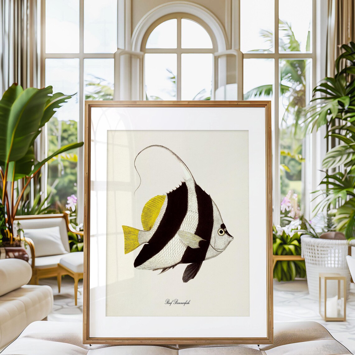 Reef Bannerfish Art Print, Sea Life Ocean Art - Image 3