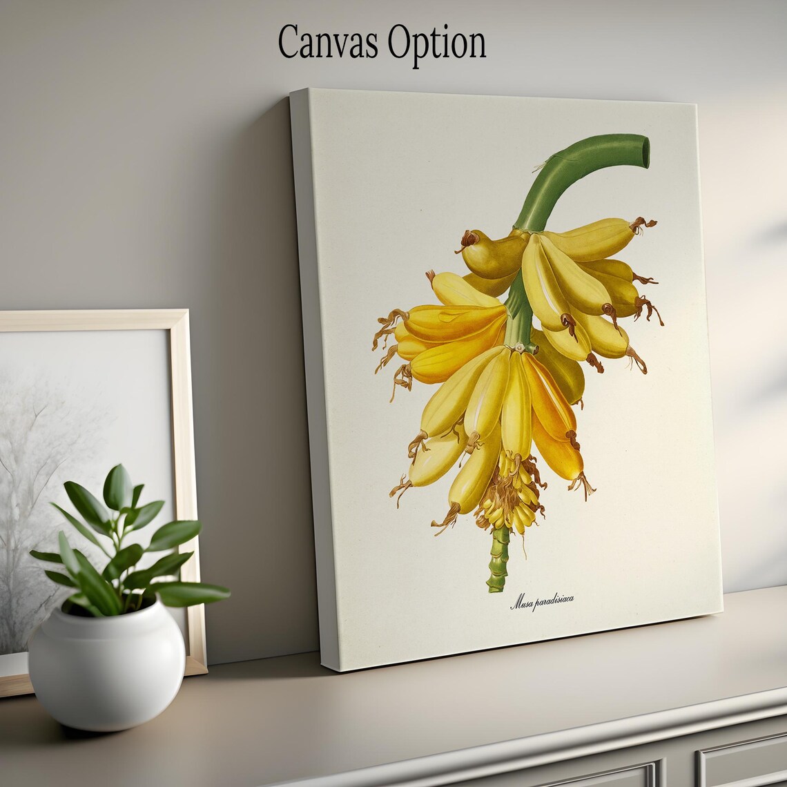 Bananas Botanical Art Print, Tropical Fruit Study - Image 2