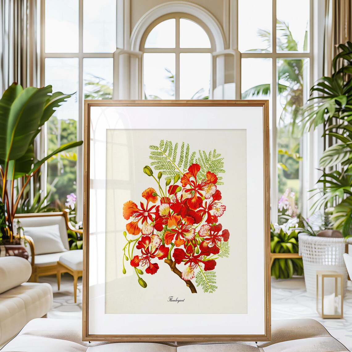 Flamboyant Flower Botanical Art Print, Red Floral - Image 3