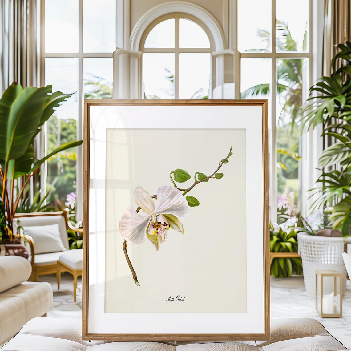 Moth Orchid Botanical Art Print, Floral Wall Art - Image 3