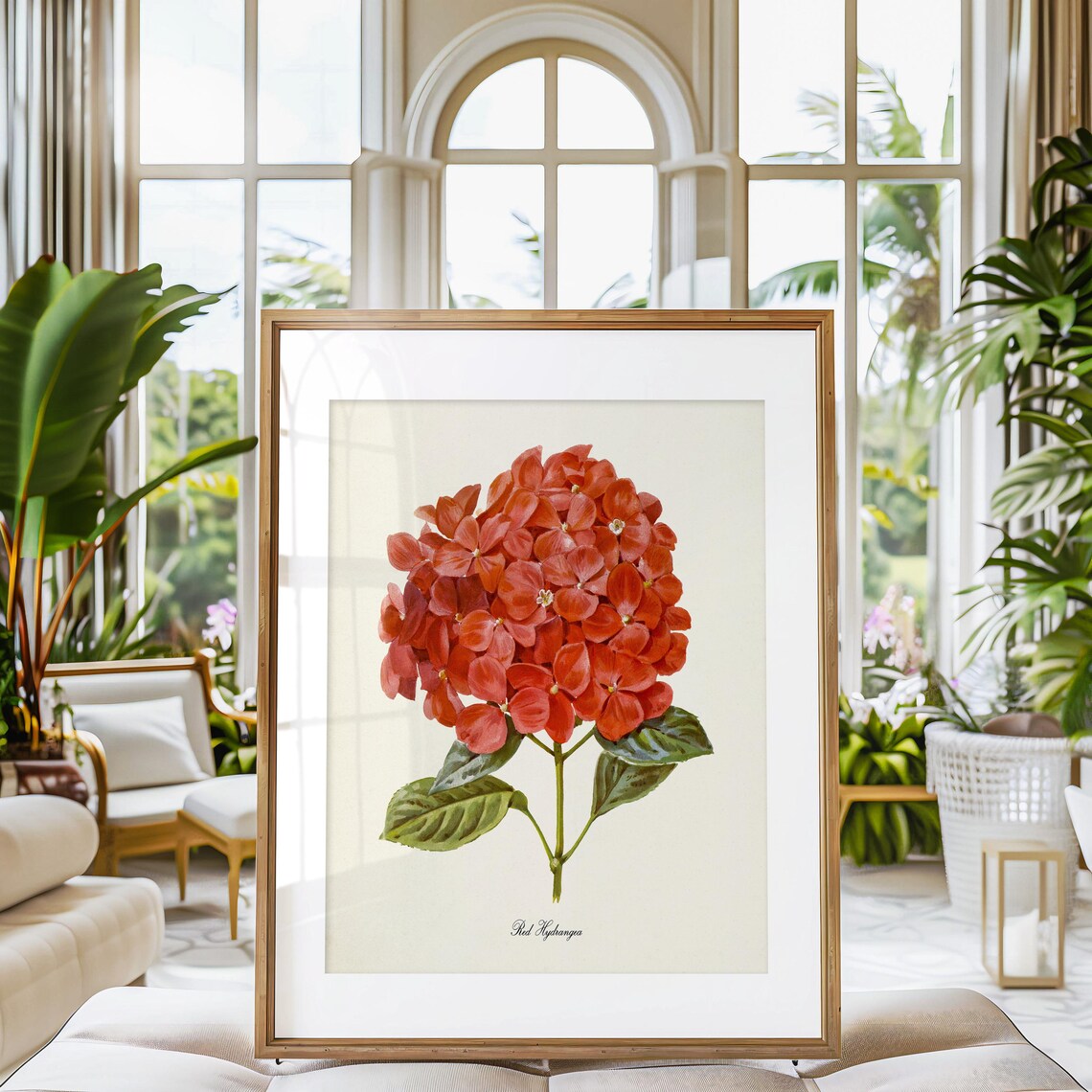 Red Hydrangea Botanical Art Print, Floral Decor - Image 3