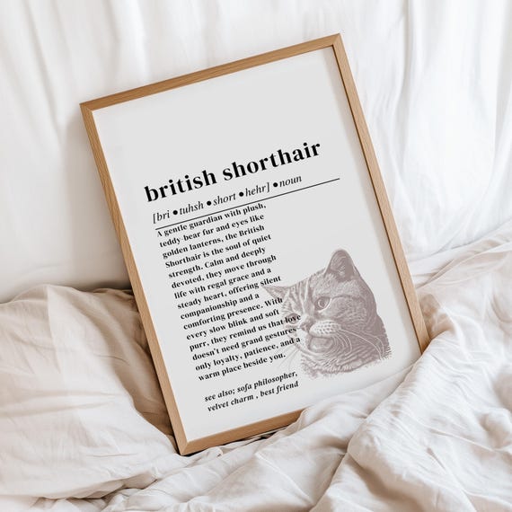 British Shorthair Cat Definition Print Heartfelt Feline Wall Art
