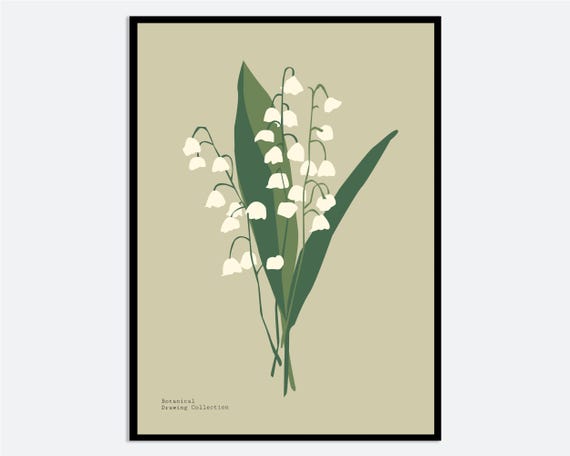 Lily Of The Valley Flowers Wall Art Print Hand Drawn Contemporary Botanical Illustration Modern Floral Minimal Poster Ma144