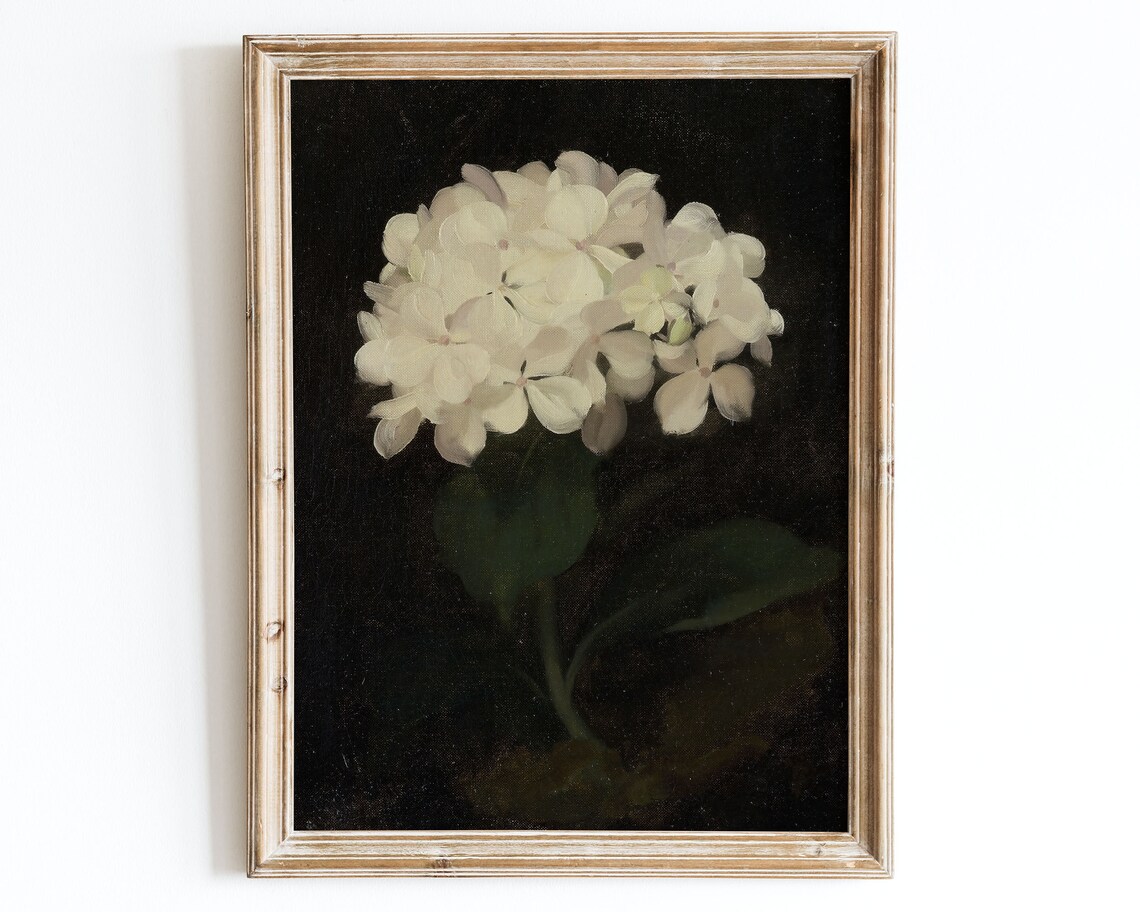 European Vintage White Hydrangea Flowers Still Life Art Print