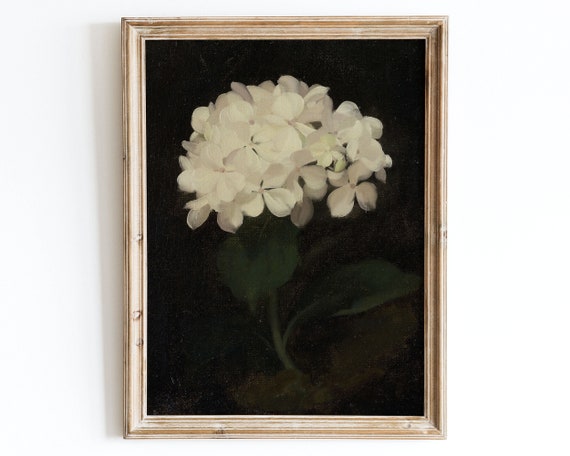 European Vintage White Hydrangea Flowers Still Life Art Print