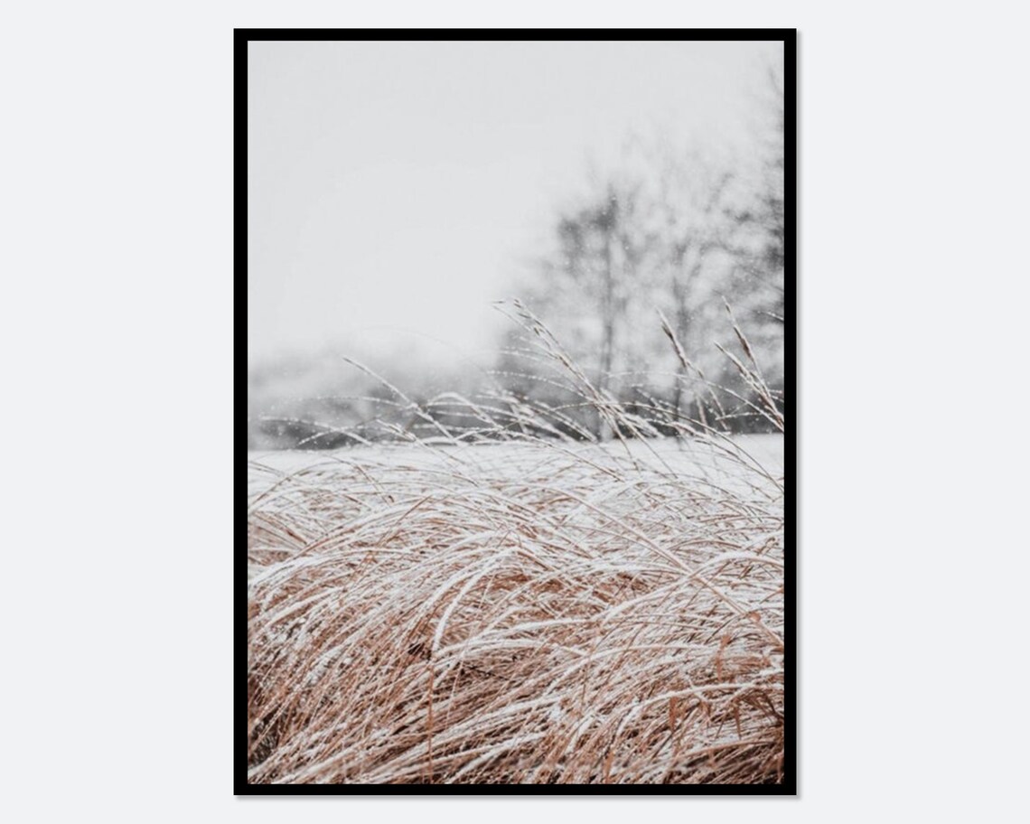 Frosty Winter Grass Field Serene Snow Landscape Photography Poster