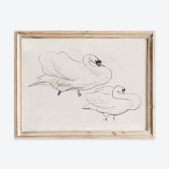 Elegant Swans Pencil Sketch Fine Art Line Drawing Vintage Bird Poster