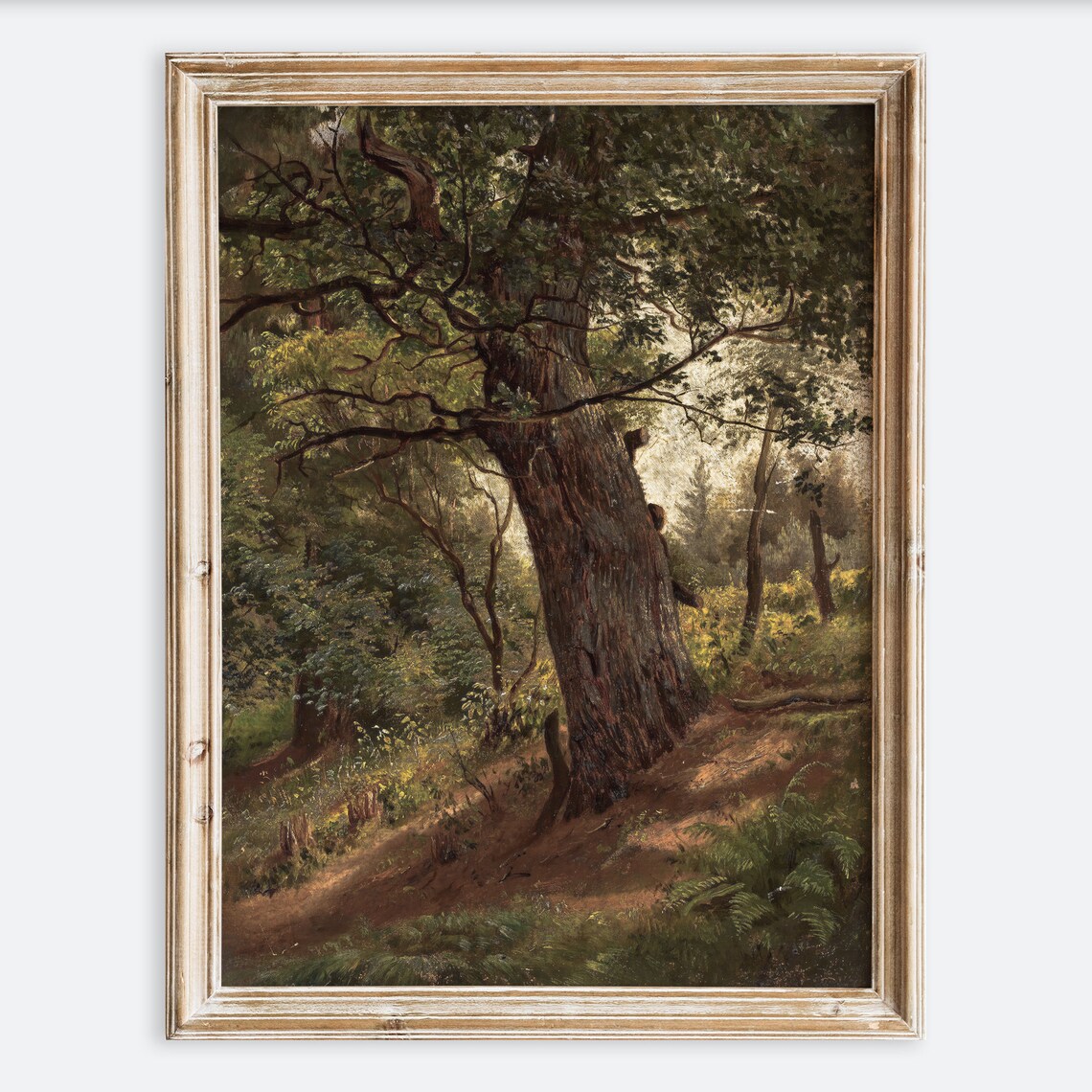 Rustic Vintage European Tree Study Art Print