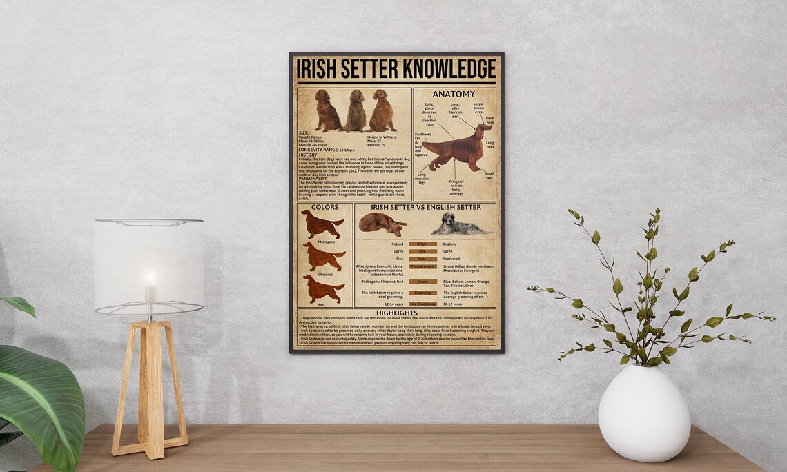 Irish Setter Vintage Poster, Dog Wall Art Print - Image 2