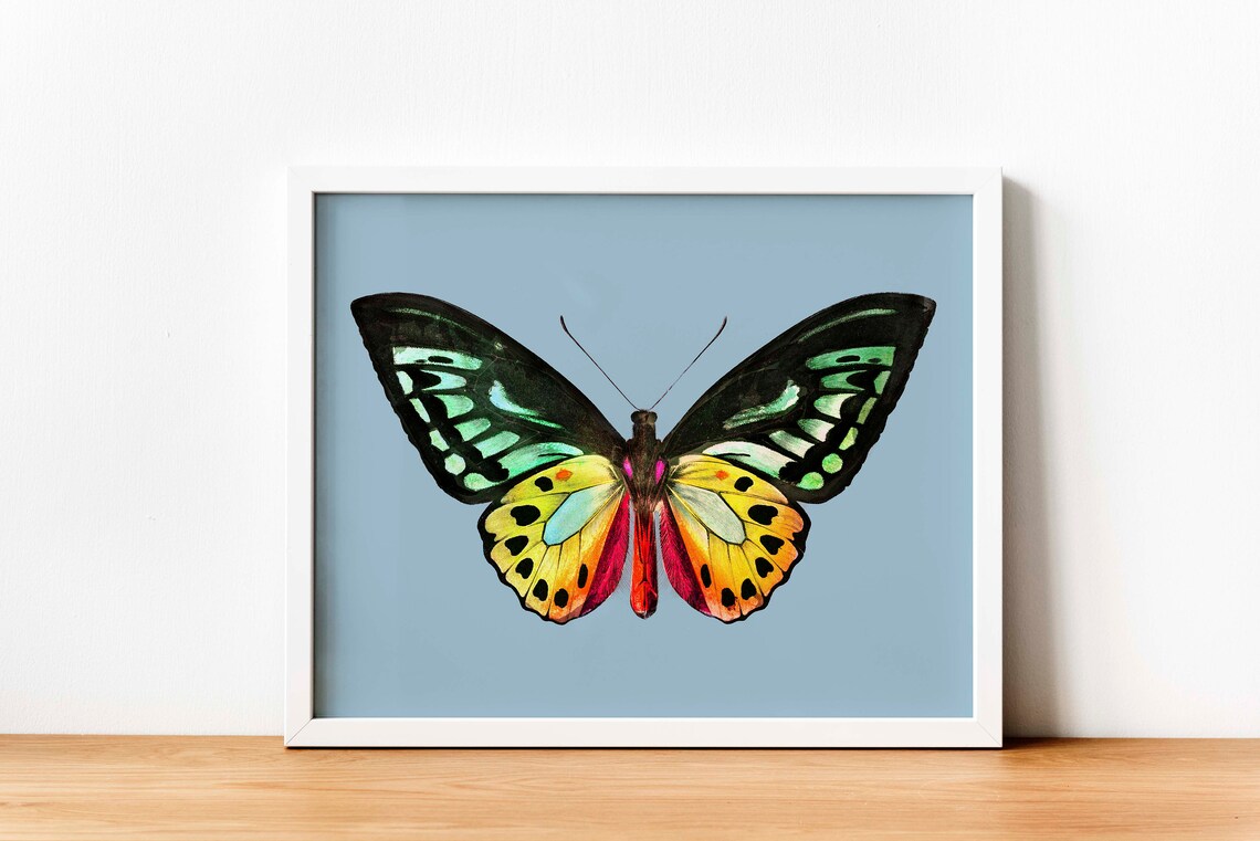 Vintage Butterfly Illustration, Fall Decor Art Print - Image 2
