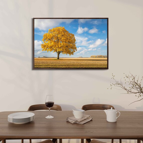 Lone Golden Tree In The Middle Of Field With Cloudy Sky Wall Art Print Nature Photo Ready To Hang