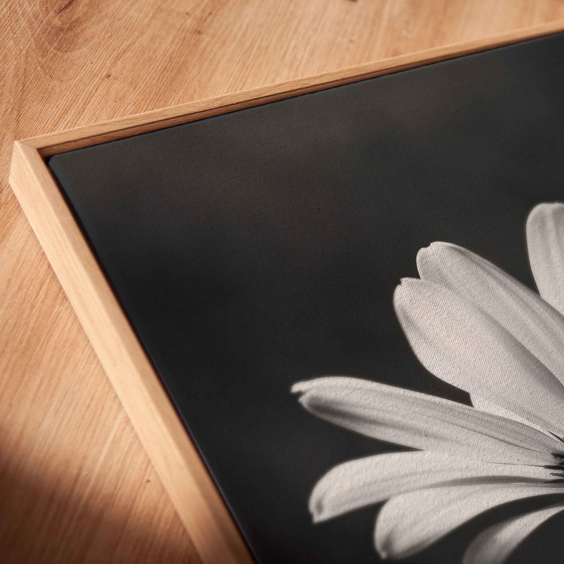 Backlit Daisy Bloom Black And White Monochrome Flower Wall Art Print - Image 2