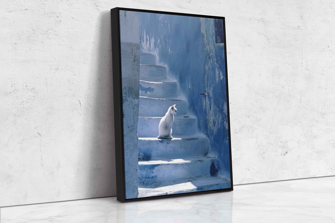 White Cat Resting On Blue Washed Stone Steps Shadow Cool Tones Pet Poster - Image 4