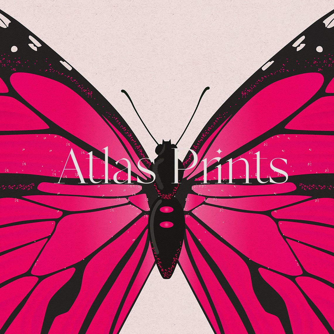 Hot Pink Butterfly Blush Background Modern Insect Art Poster - Image 5