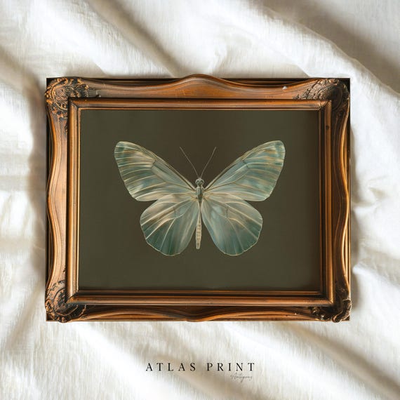 Vintage Butterfly Print Dark Moody Insect Wall Art Cottagecore Sage Green Decor Prints Antique Moth Painting