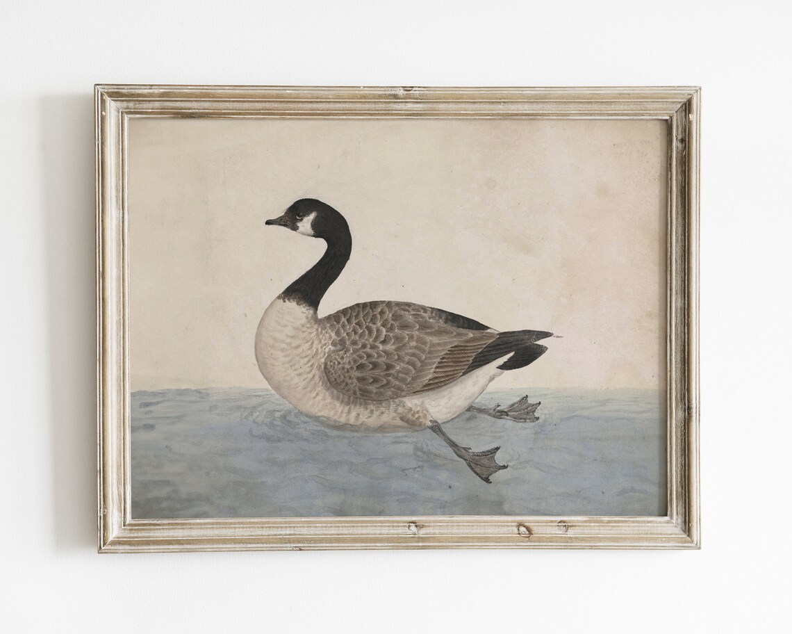 Vintage Goose Print, Antique Farmhouse Wall Art