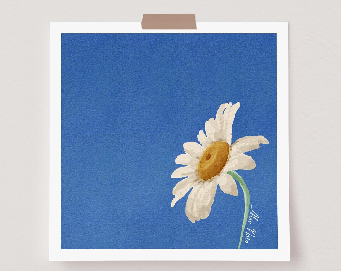 Spring Is Coming Daisy Love Flower Power