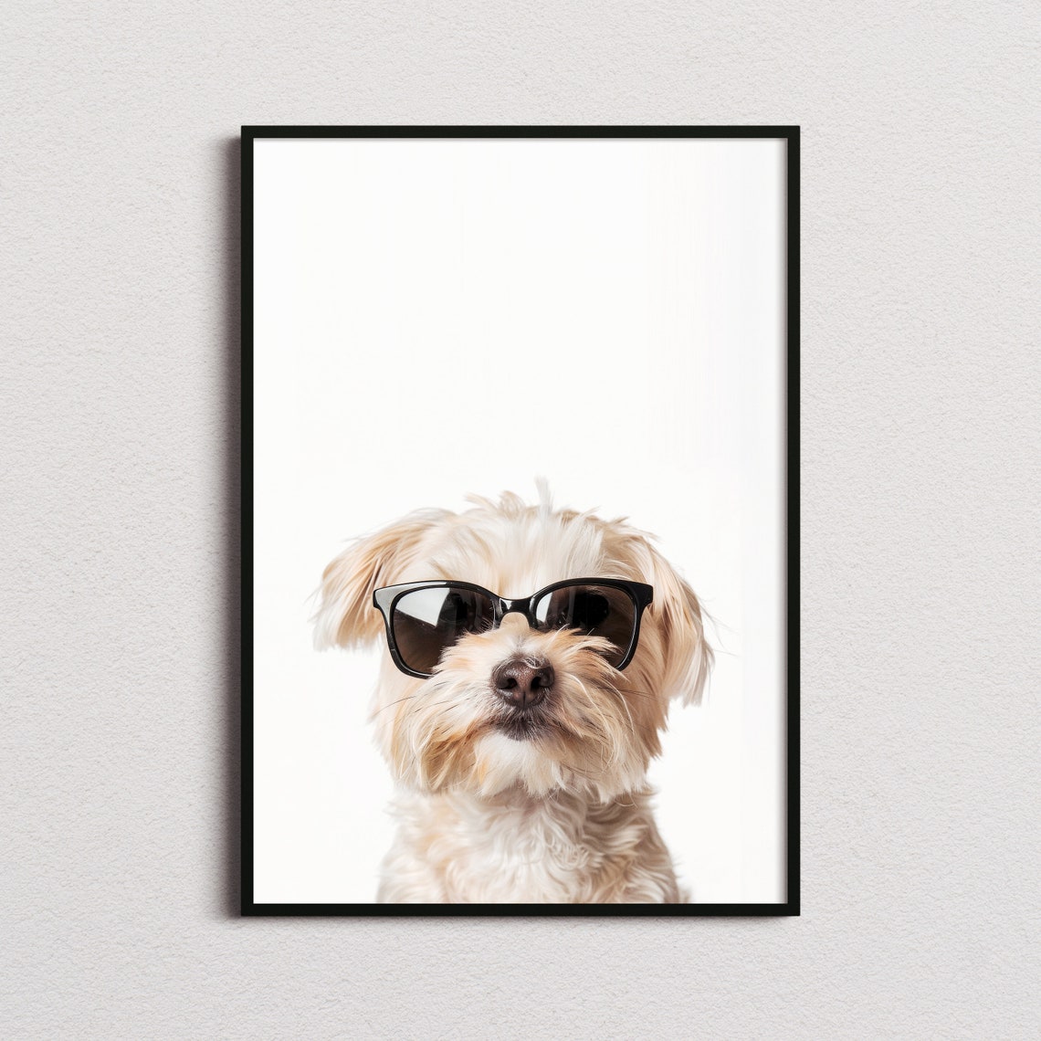 Maltese Terrier Dog In Sunglasses Sweet Minimalist White Photo Poster