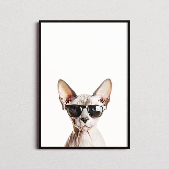 Sphynx Cat in Cool Sunglasses Quirky Hairless Cat Portrait Poster