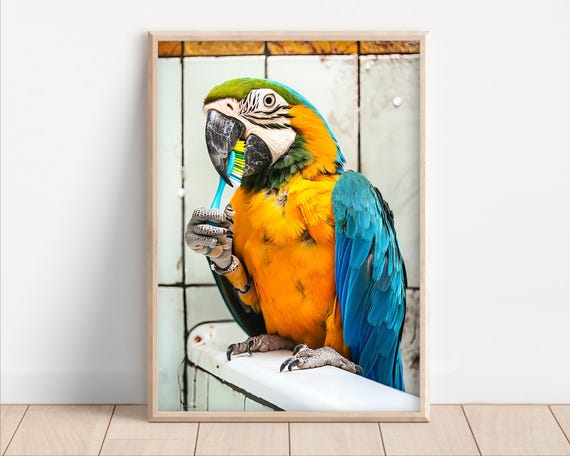 Parrot Brushing Teeth Poster Or Canvas Funny Bathroom Wall Art Kids Laundry Room Decor Quirky Animal Humor Photo Cute Print