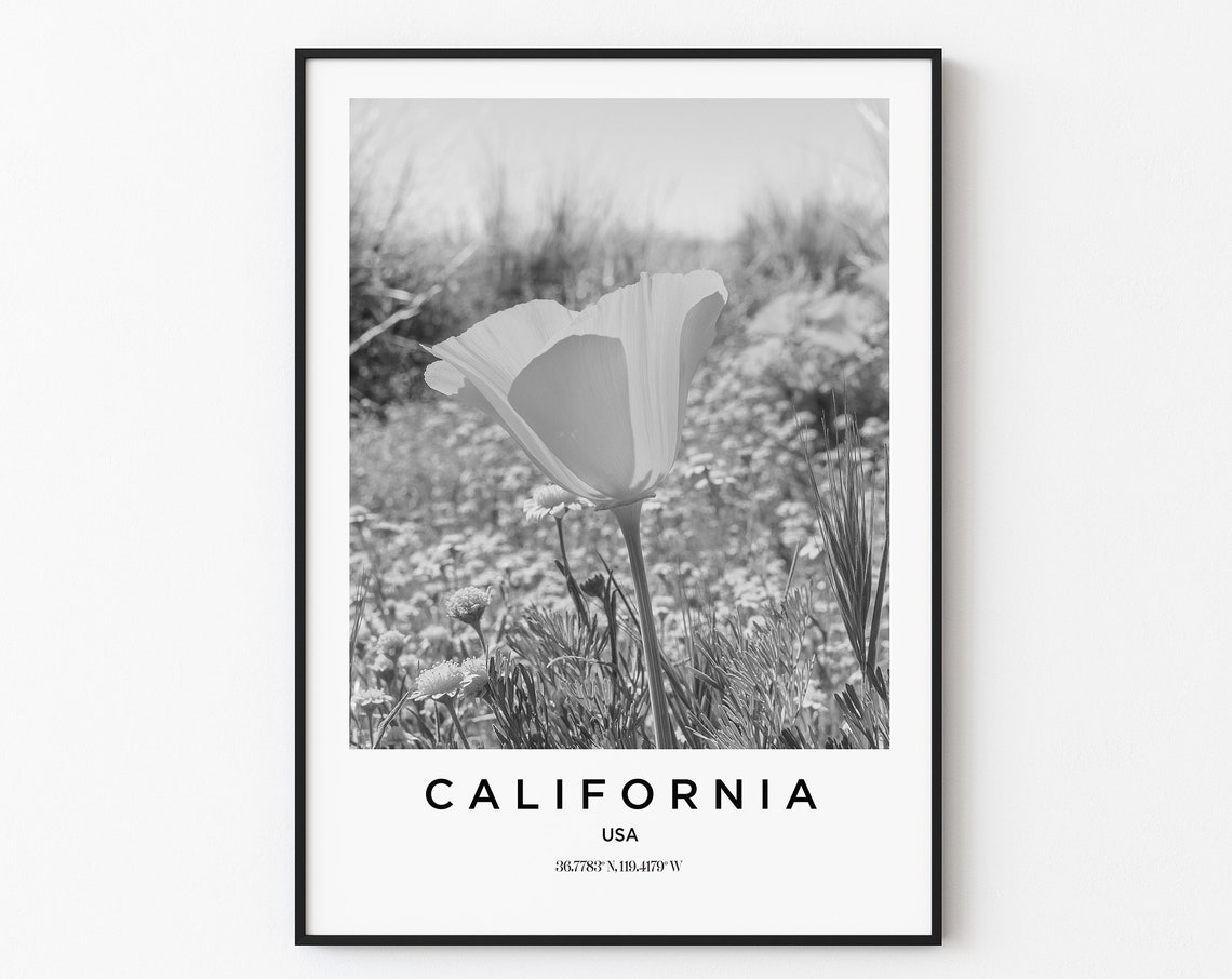 California Travel Poster California Print California Photo Print Black And White Photography Monochrome Travel Photography America