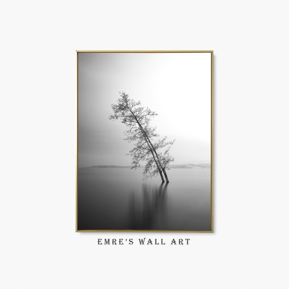 Minimalist Tree Black And White Farmhouse Art Print