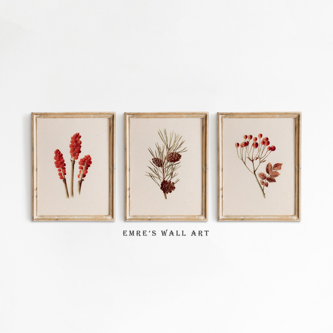Winter Berries Pine Botanical Trio Set Vintage Holiday Art Poster