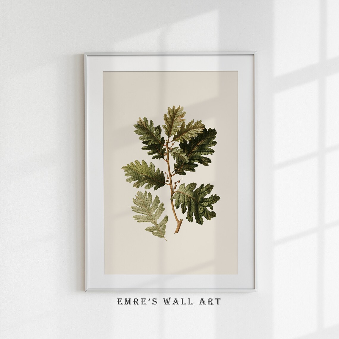Vintage Botanical Tree Branch Art Print, Rustic Sketch - Image 4