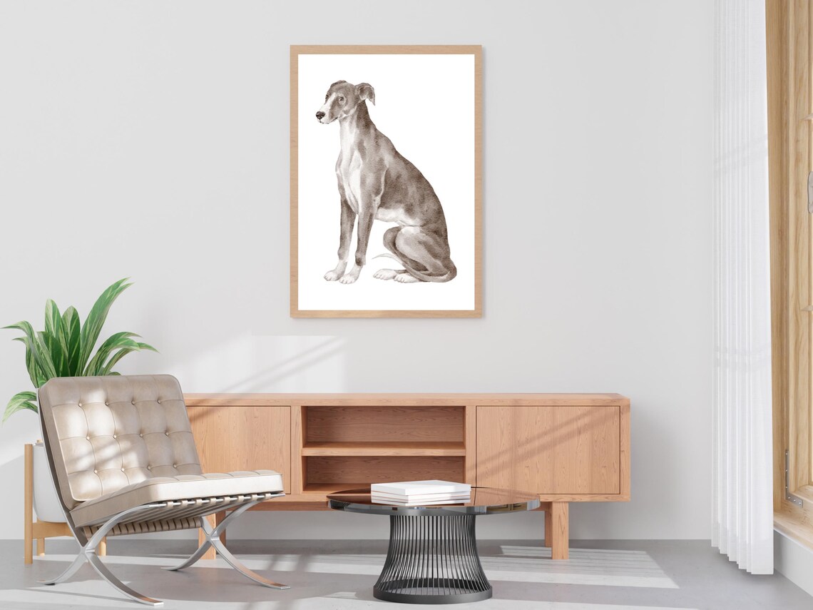Italian Greyhound Watercolor Elegant Sighthound Dog Portrait Poster - Image 4
