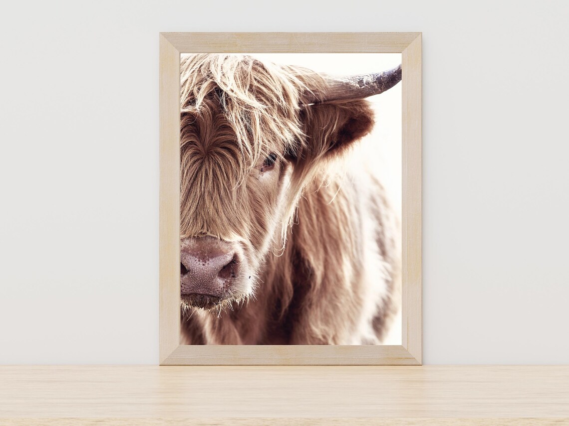 Cow Illustration - Farm Animal Art Print