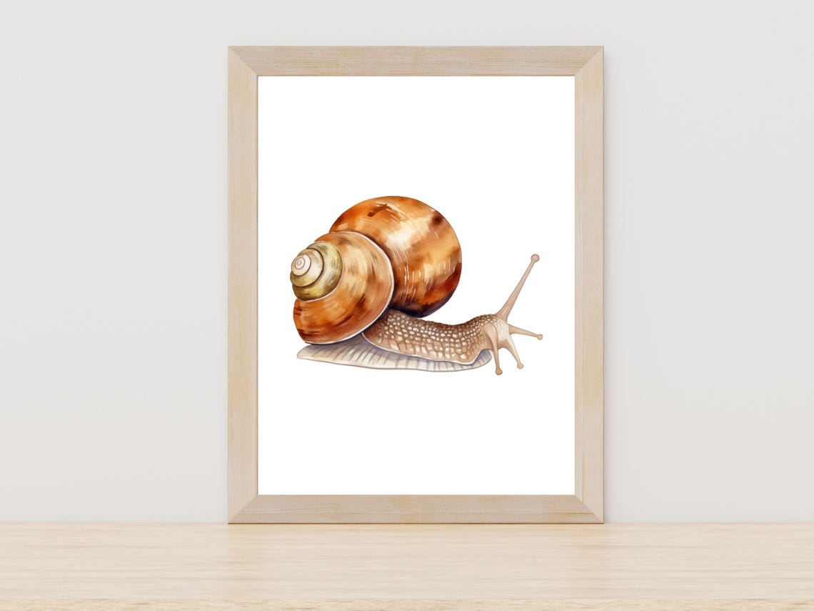 Garden Snail Watercolor Detailed Spiral Shell Nature Art Poster