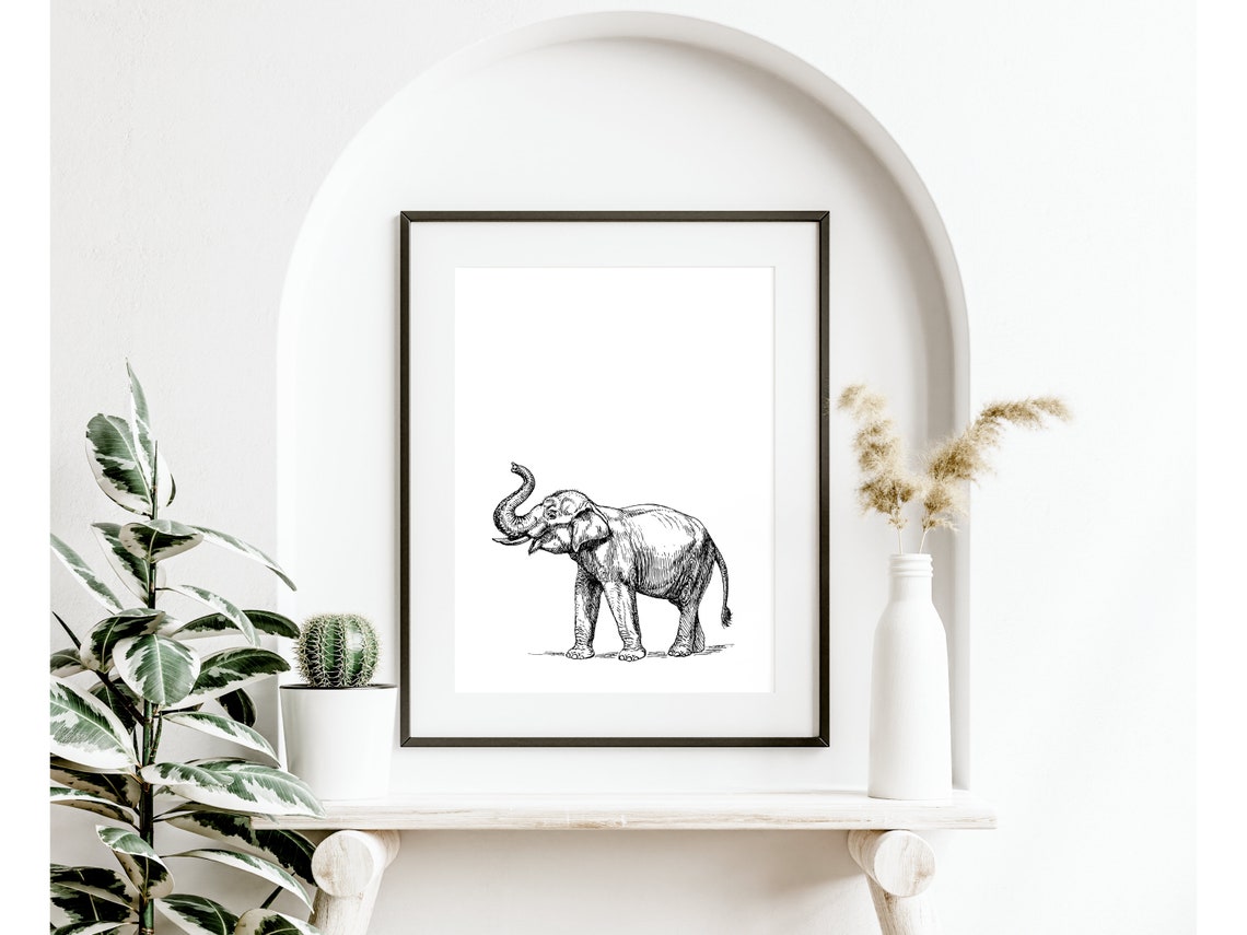 Elephant Sketch Black and White Safari Animal Ink Drawing Wall Print - Image 3