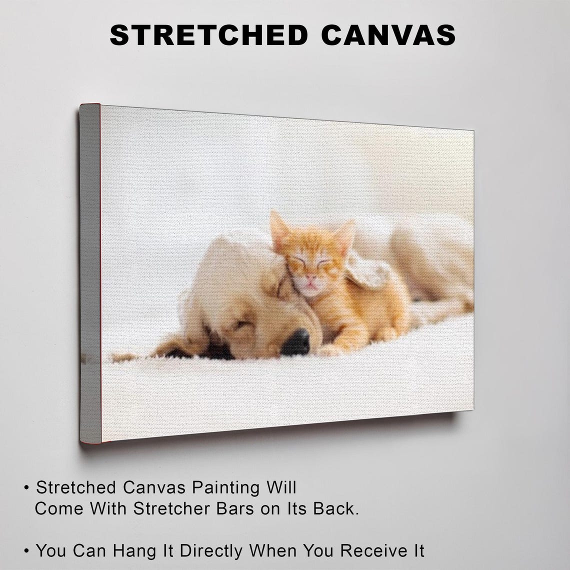 Golden Retriever Puppy Napping Beside a Tiny Ginger Kitten Poster - Image 3